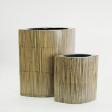 BAMBOO_VASE_OVAL1